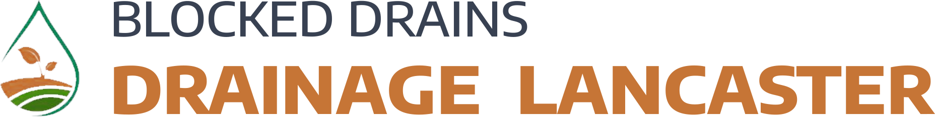 website logo